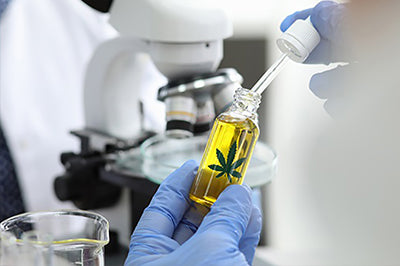 The Science Behind CBD: Understanding How It Works in the Body