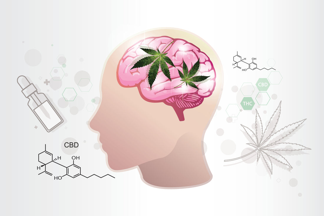 CBD and Mental Health: Managing Anxiety and Depression Naturally